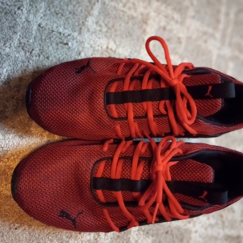 Brand new.pums 9.5